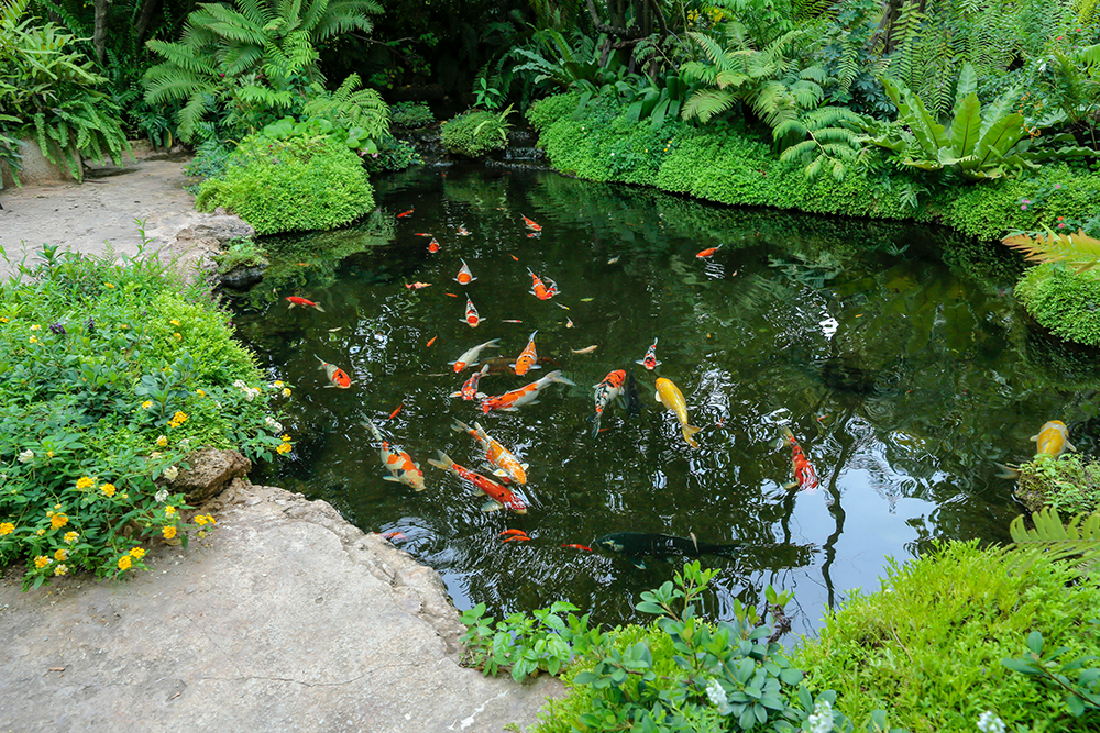 Backyard Ponds Installations Earthworks Gardens - Springfield Missouri