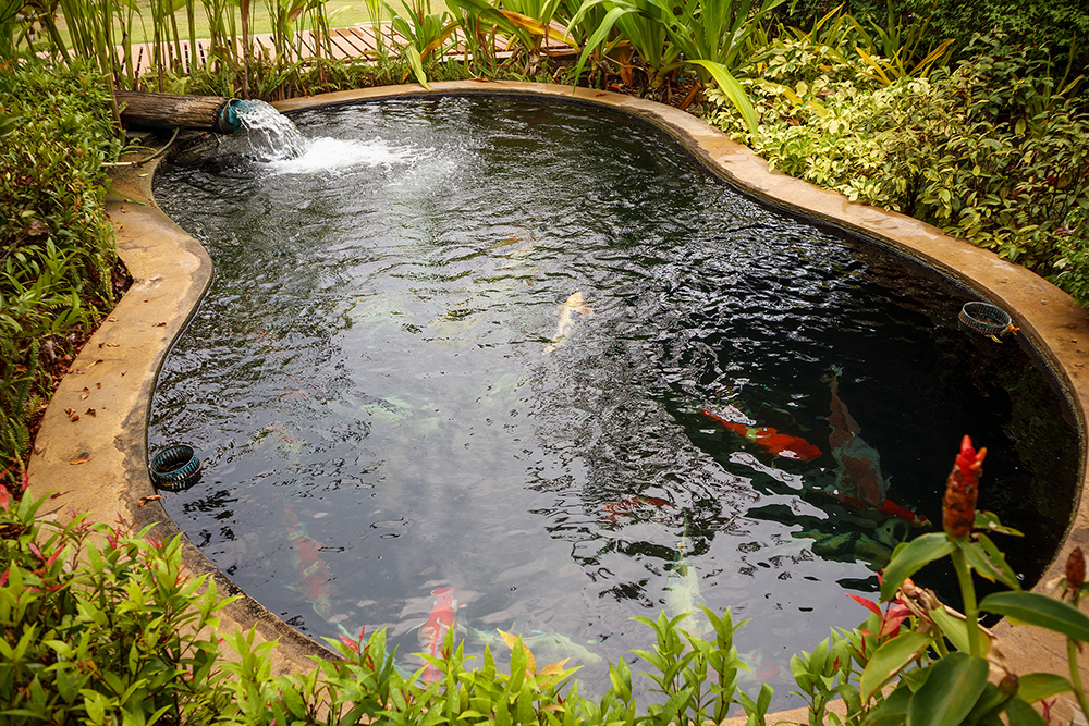 Backyard Ponds Installations Earthworks Gardens - Springfield Missouri