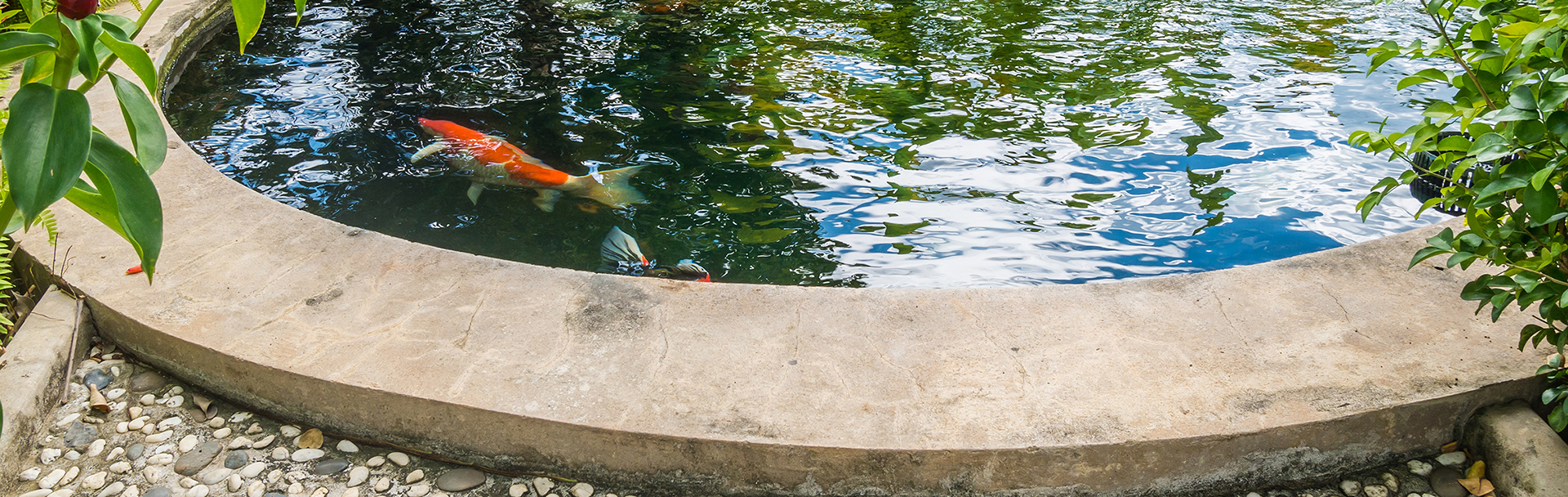 Backyard Ponds Installations Earthworks Gardens - Springfield Missouri